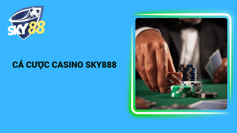Cá cược casino Sky888
