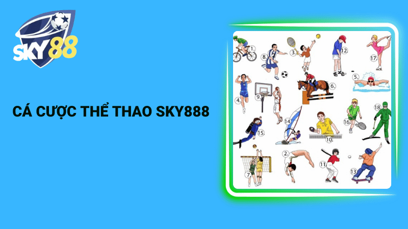 Cá cược thể thao Sky888